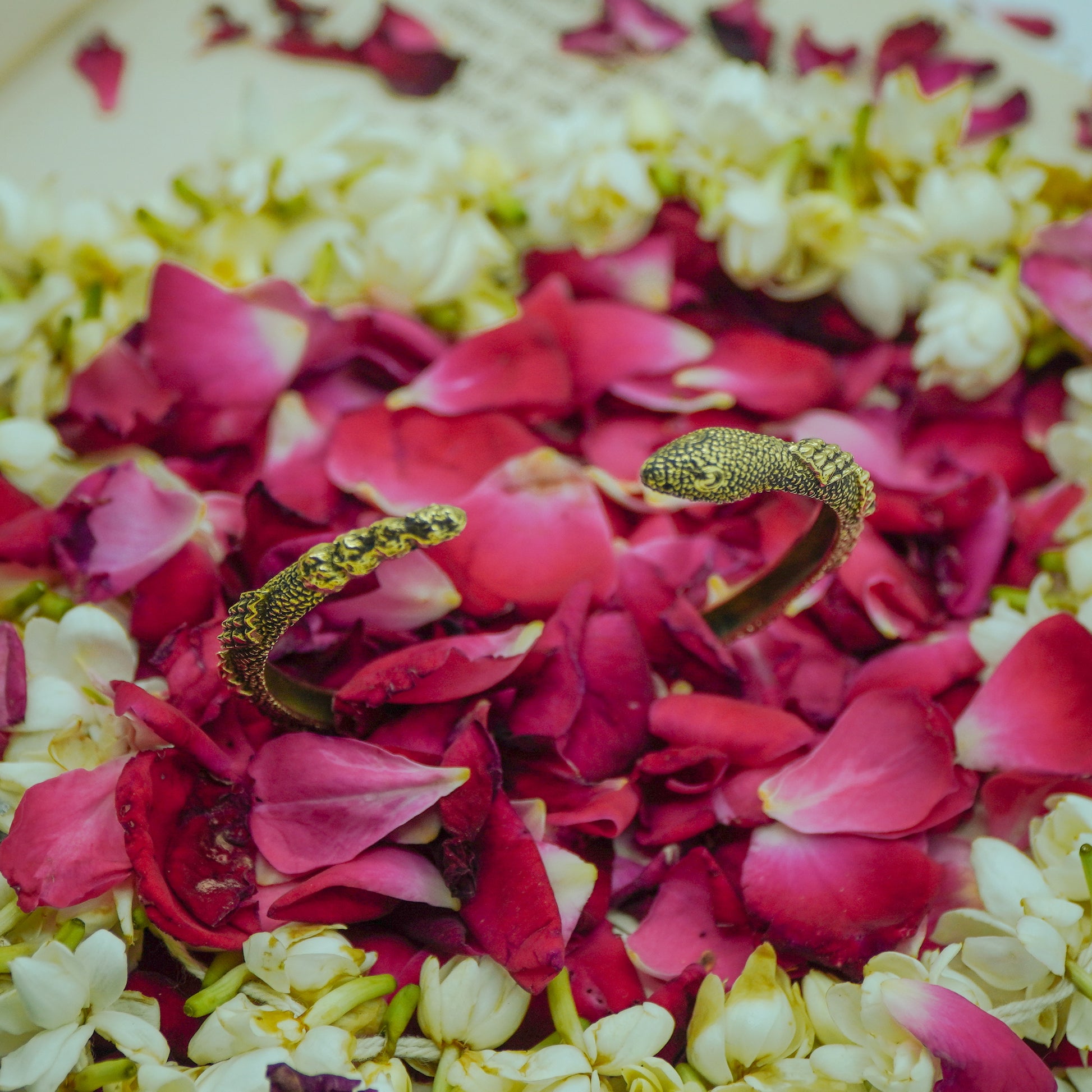 Naga Bandhan