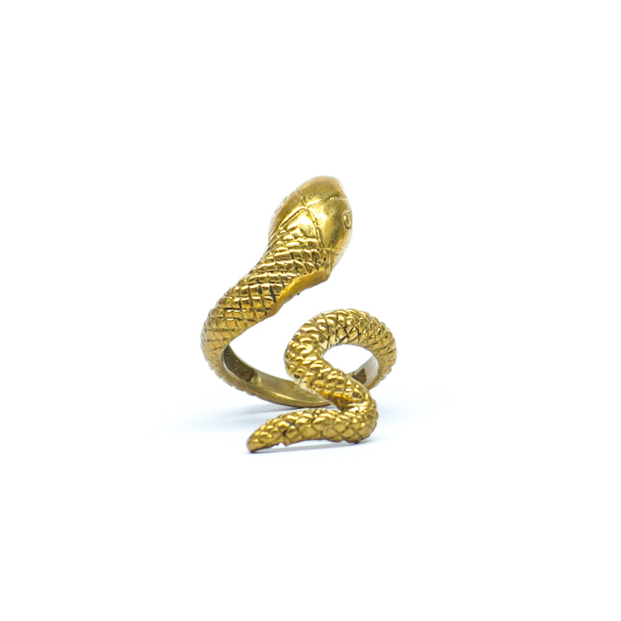 Anant Ring