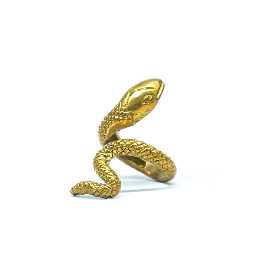 Anant Ring