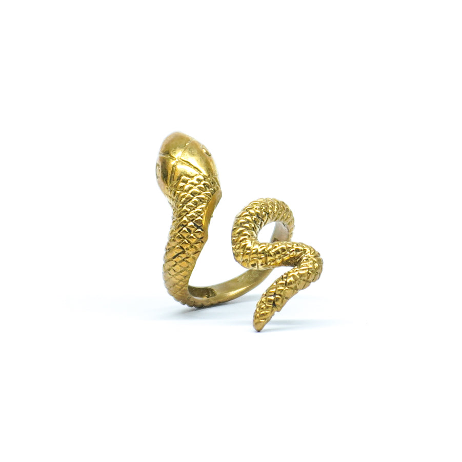 Anant Ring
