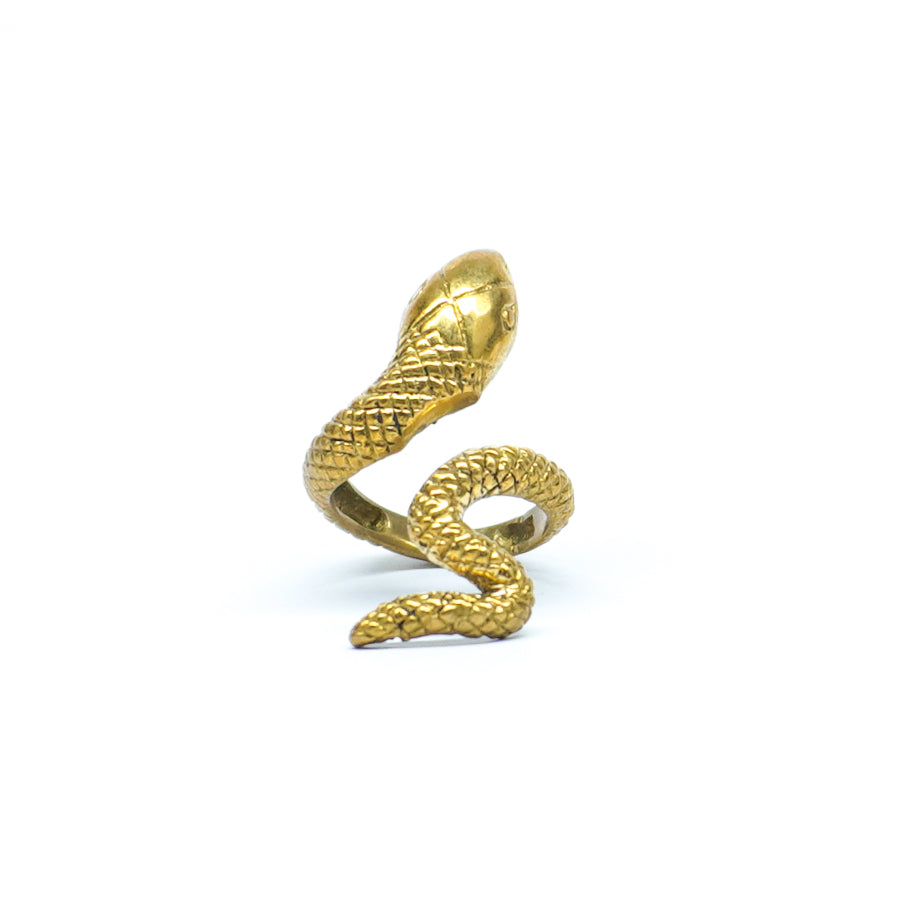 Anant Ring