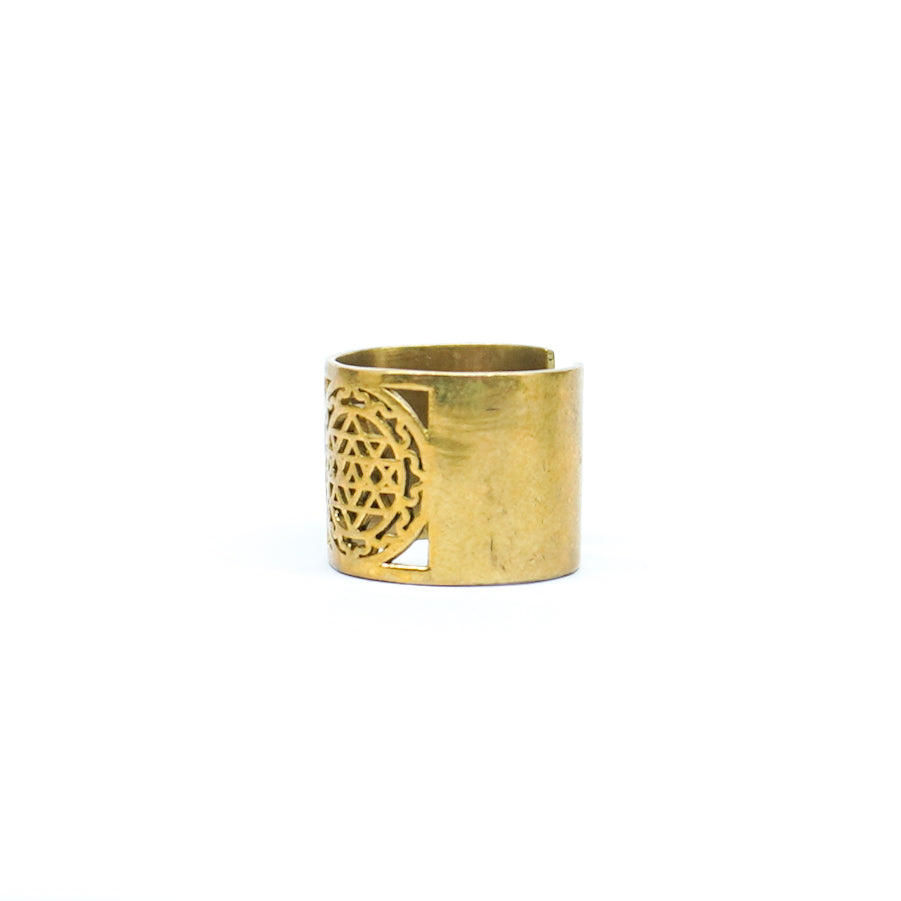 Chaturveda Ring