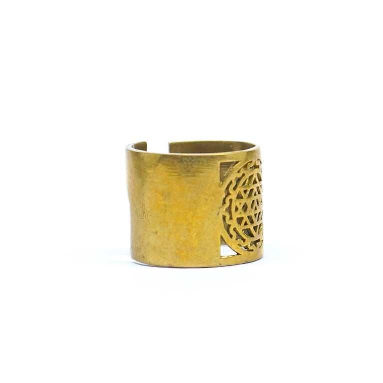 Chaturveda Ring