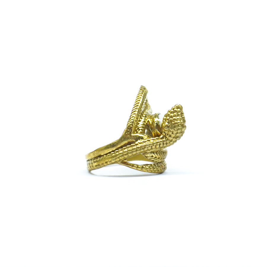 Rudra Ring
