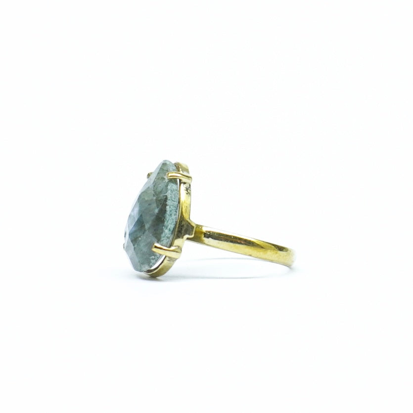 Varsha Ring