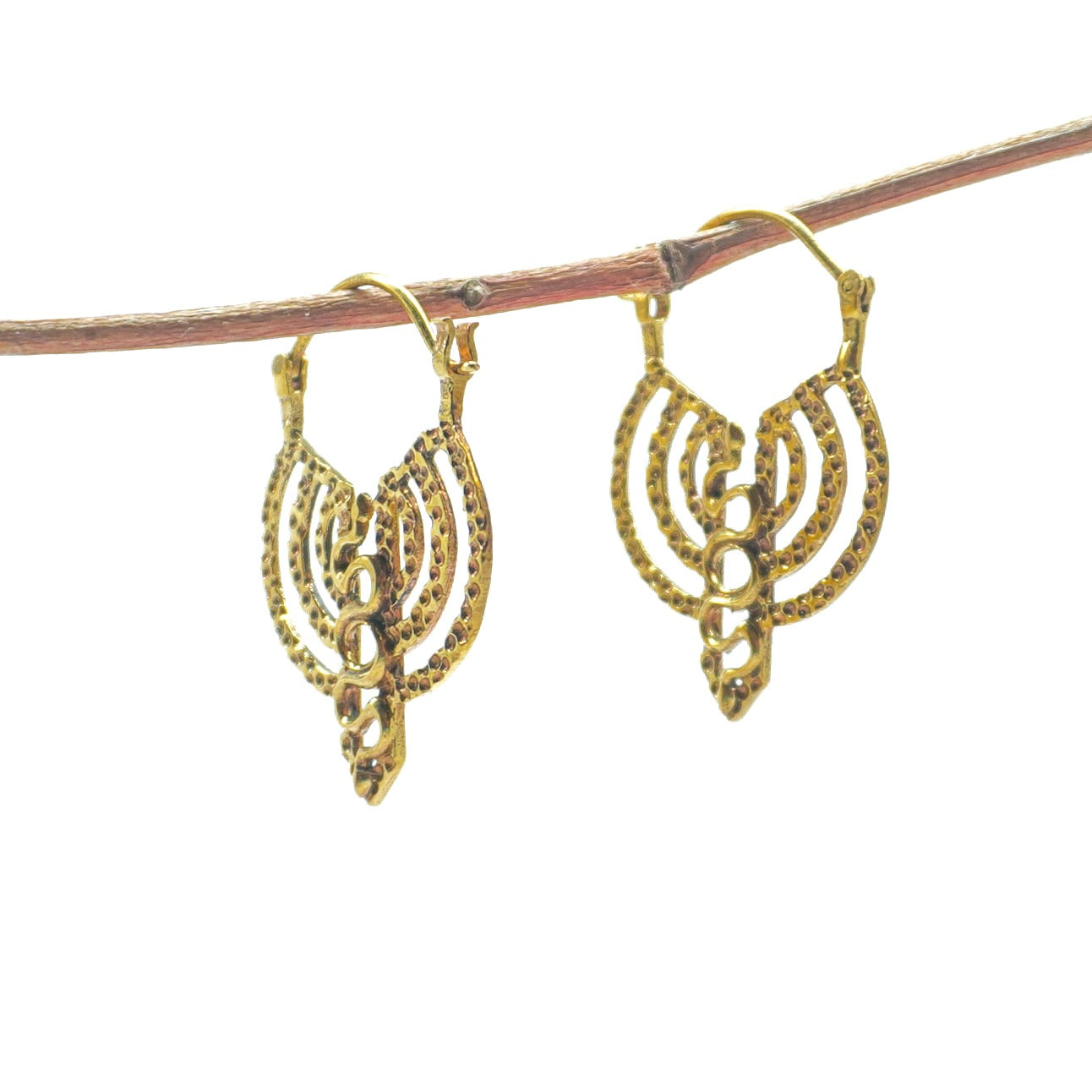 Phani Earring