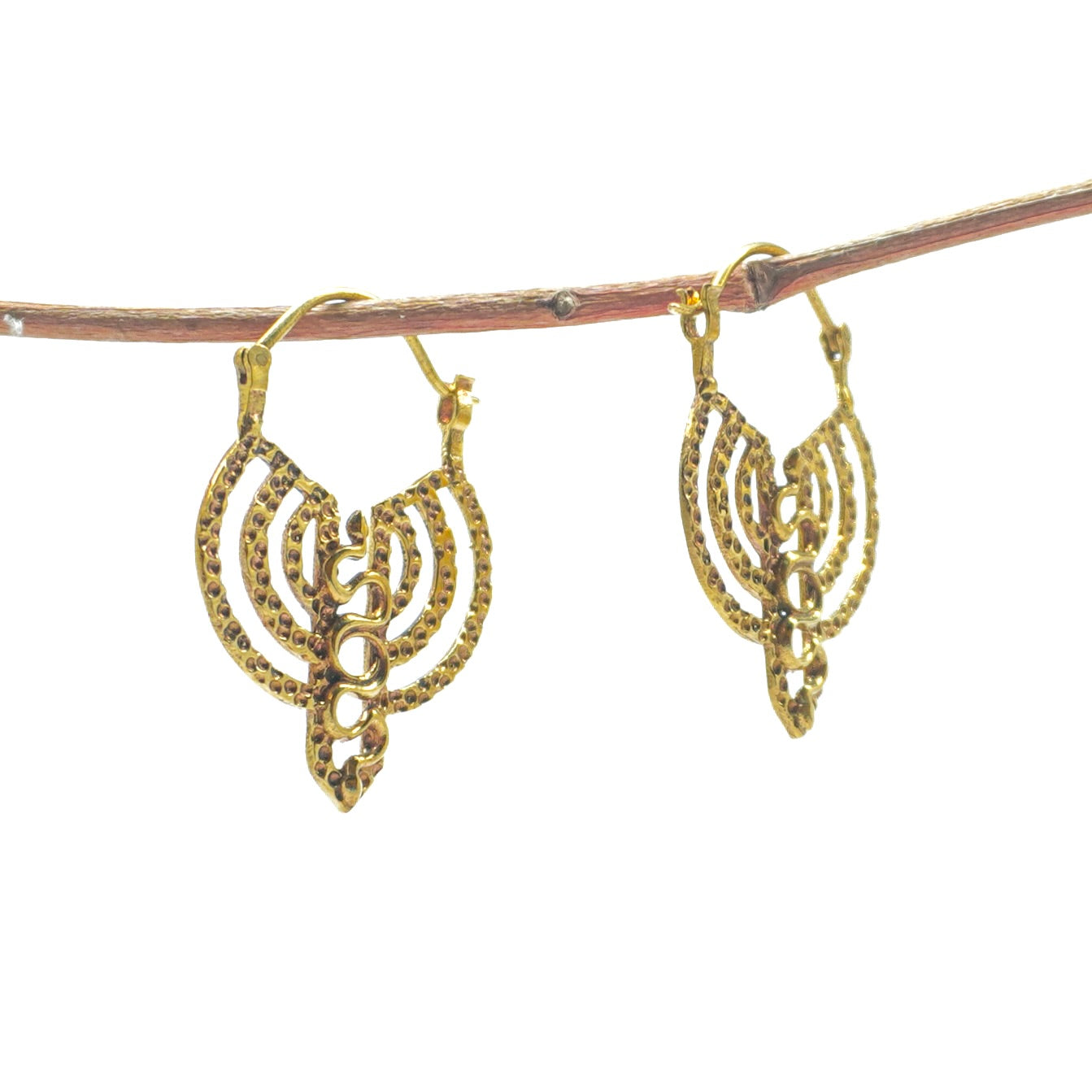 Phani Earring