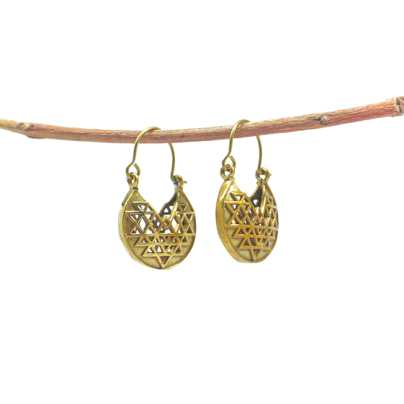 Sarovar Earring
