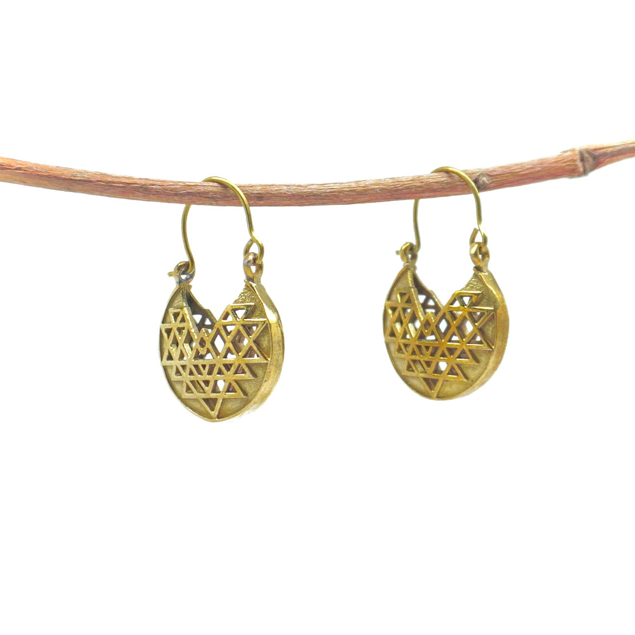 Sarovar Earring