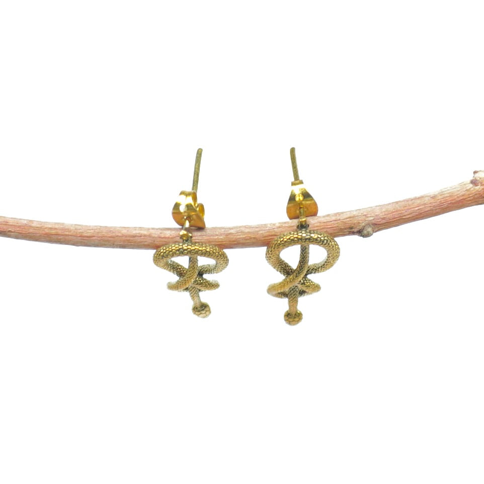 Bhoga Earring