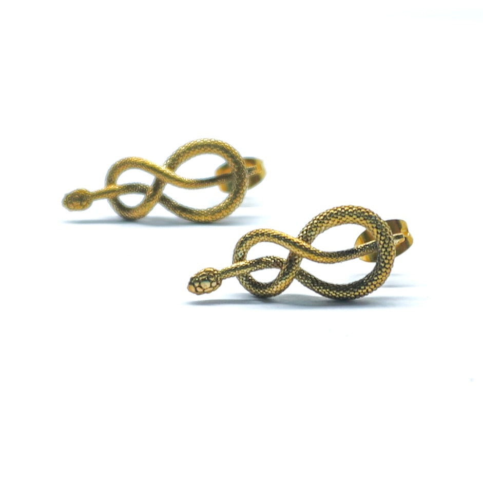 Bhoga Earring