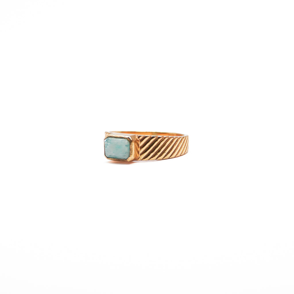 Dhruva Ring
