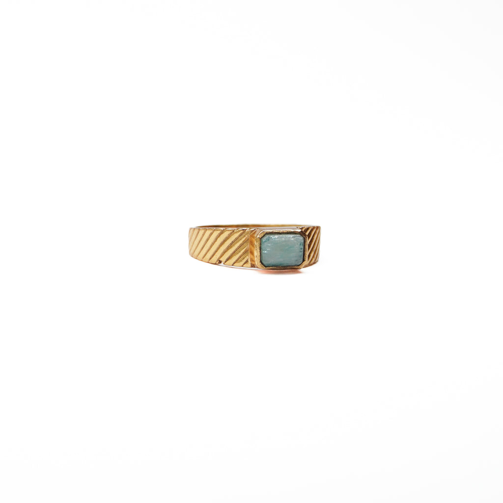 Dhruva Ring