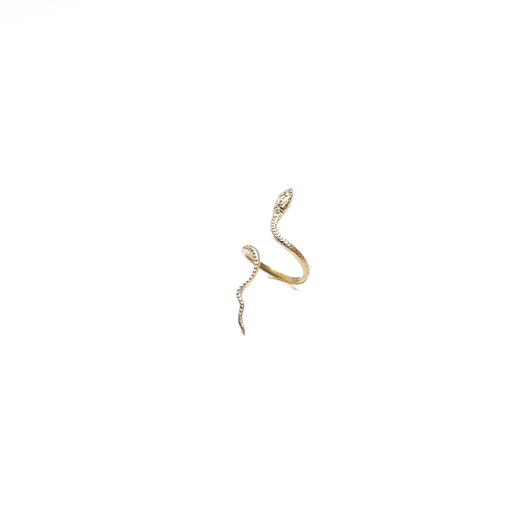 Phani Ring