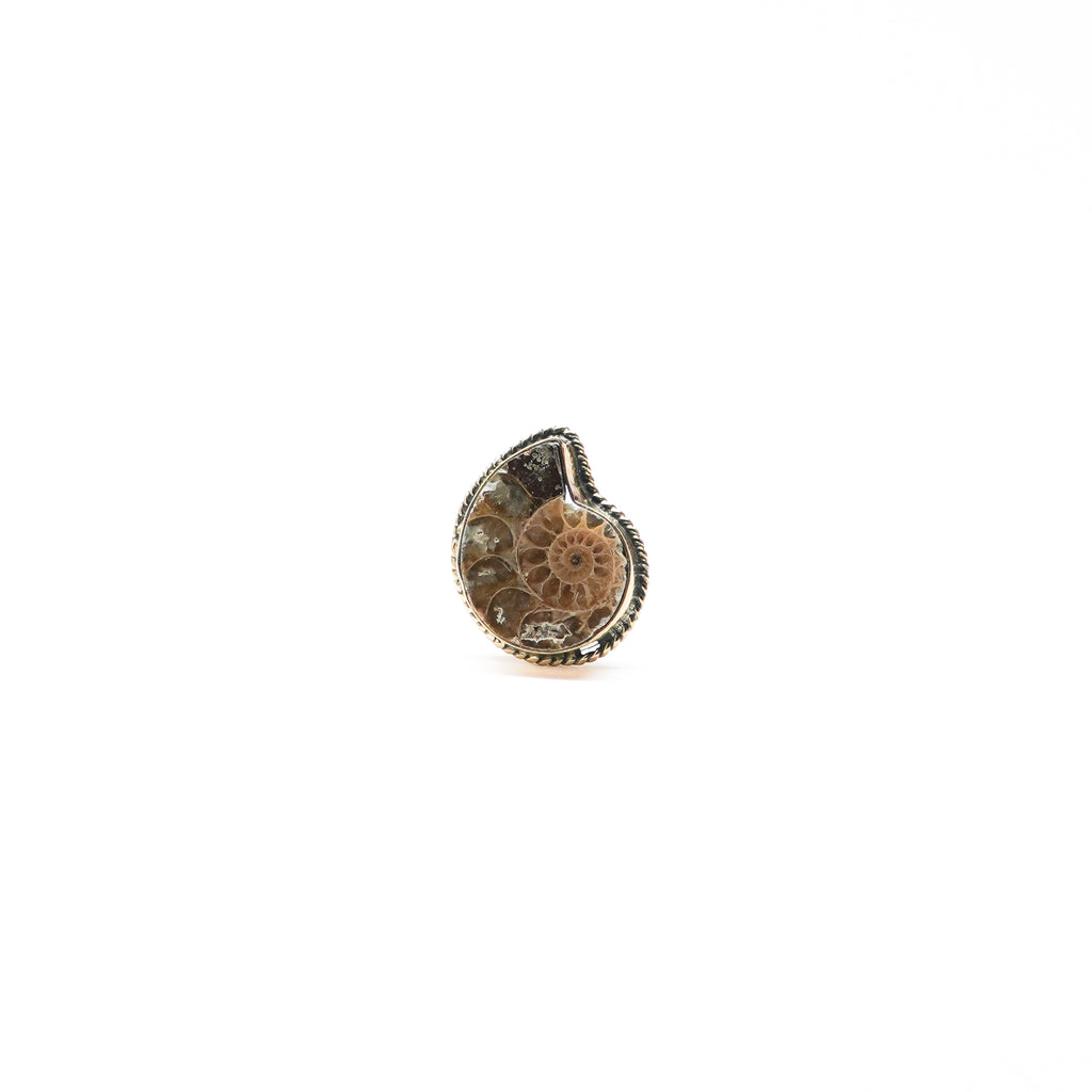 Prithvi Ring