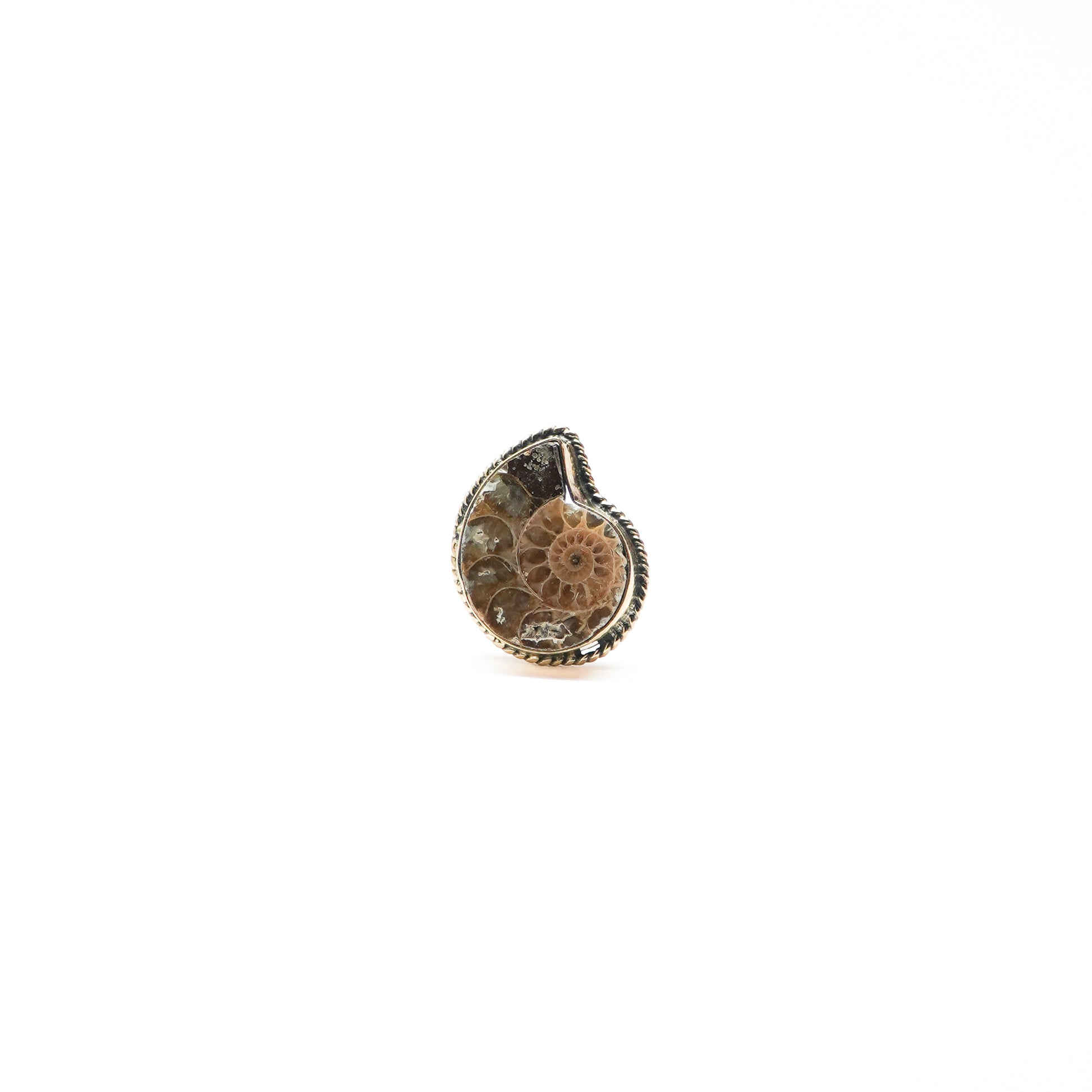 Prithvi Ring