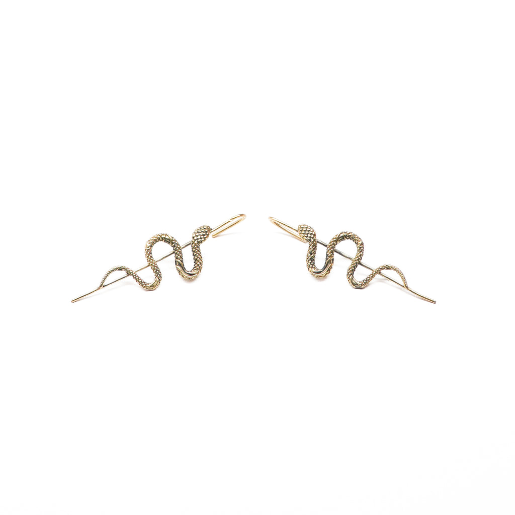 Bhujanga Earrings