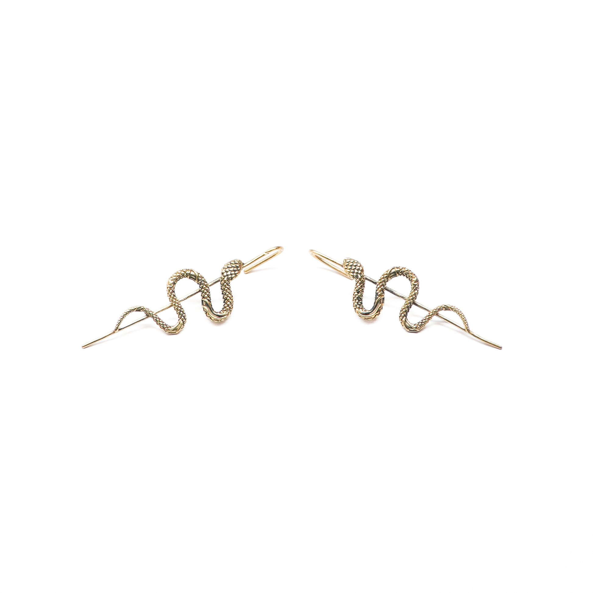 Bhujanga Earrings