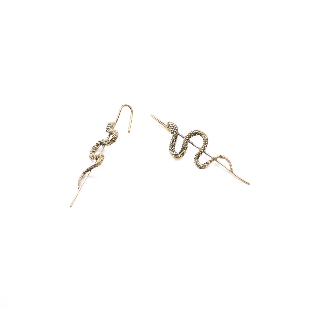 Bhujanga Earrings